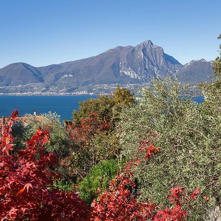 Villa Loncrino - Fine Living Torri Del Benaco Buitenkant foto